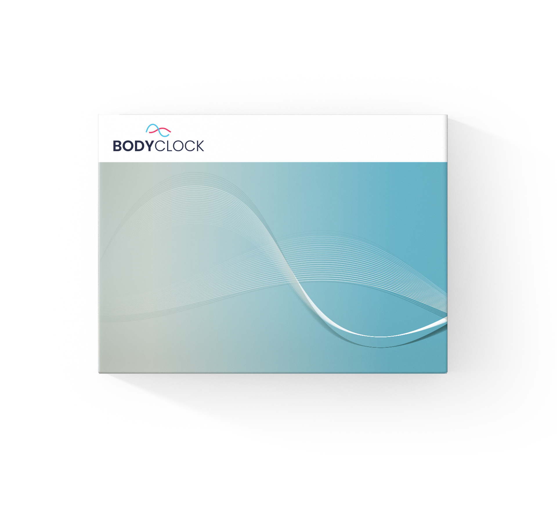 haarwurzel test ob du eule oder lerche bist