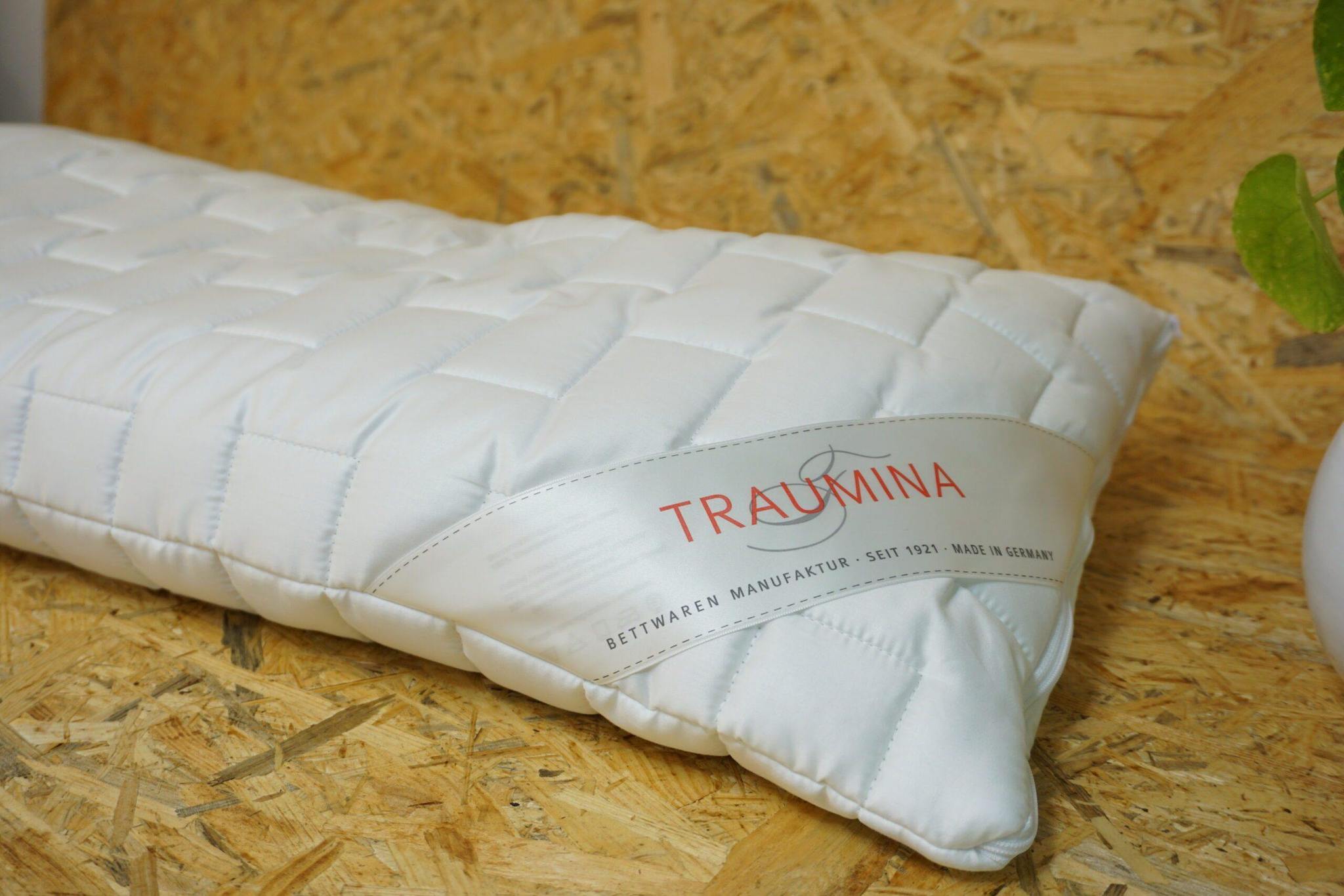 Dinkel Kopfkissen 40×80 cm – 100 % Baumwollbezug, 1600 g Dinkelspelzen