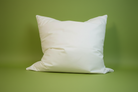 Federn und Daunen Kopfkissen 550 g 80x80 cm –  100 % Baumwollbezug
